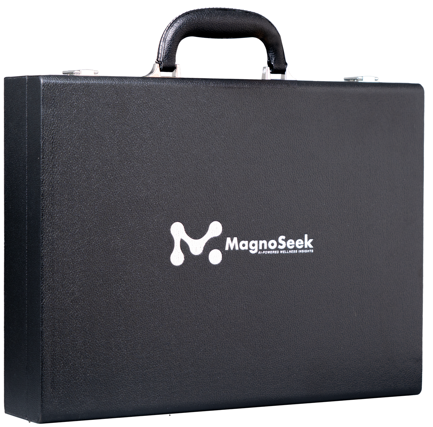 Magnoseek M-19